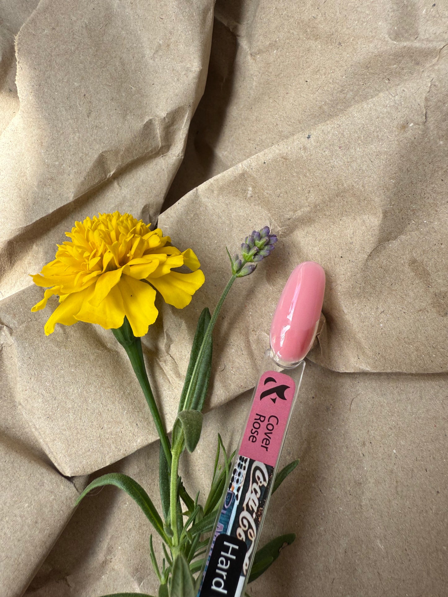 F.O.X. Hard Gel Cover Rose