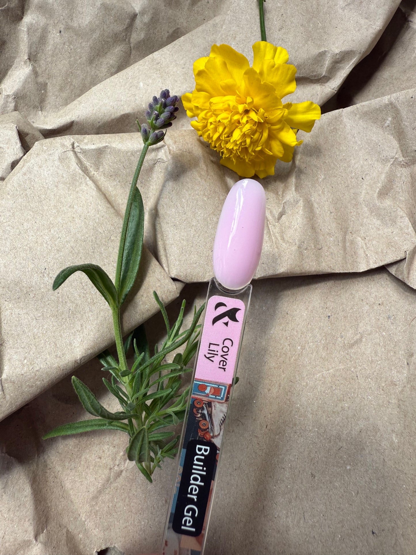 F.O.X. Builder Gel Cover Lily