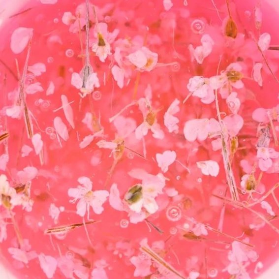 Gellack TUFI profi PREMIUM Bloom 01 mit getrockneten Blumen