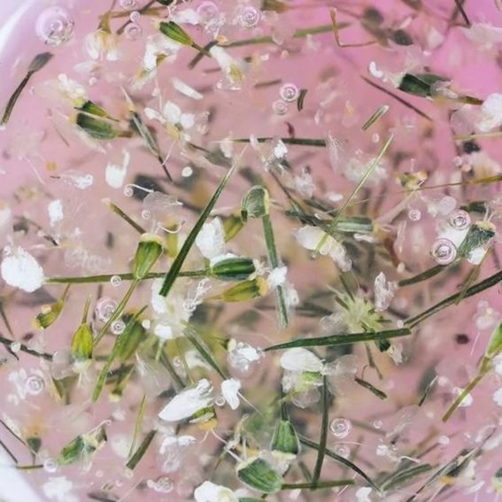 Gellack TUFI profi PREMIUM Bloom 04 mit getrockneten Alliumblüten